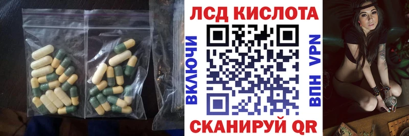 ЛСД экстази кислота  KRAKEN tor  Стародуб 