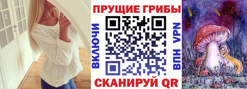 Галлюциногенные грибы прущие грибы  Стародуб 
